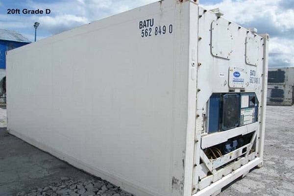 cold storage refrigerated container with cargo doors, cool temperature inside, and easy access